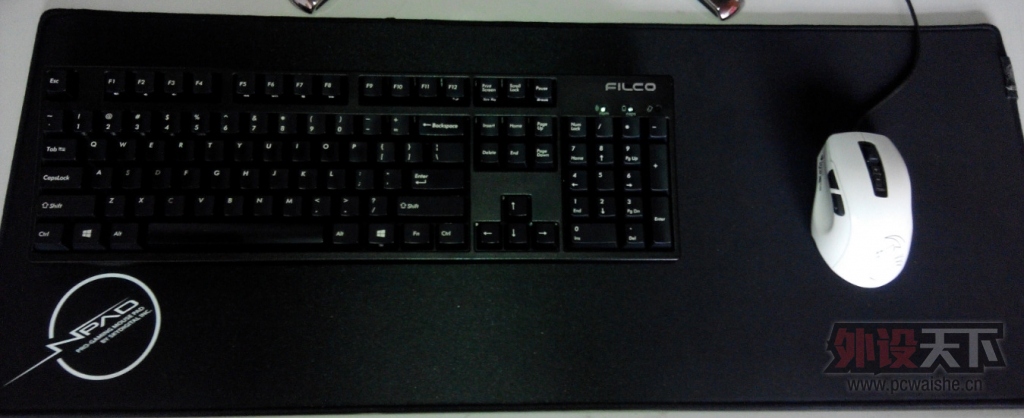 �����������������棬��ɫ������