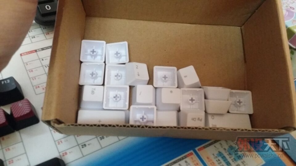 PBT���ּ�ñ����