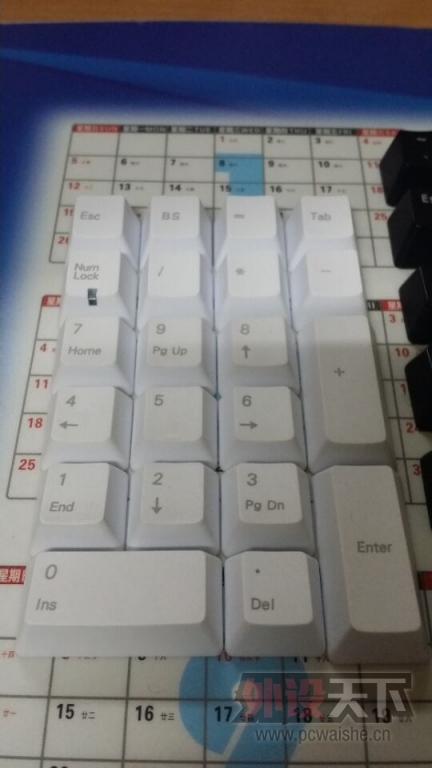 ���²��µļӺ�PBT����