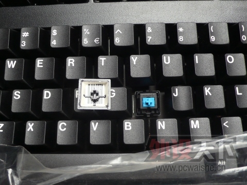 ���ɶ���Rosewill�����+99��+570���ʵ�