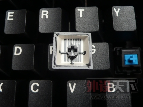 ���ɶ���Rosewill�����+99��+570���ʵ�