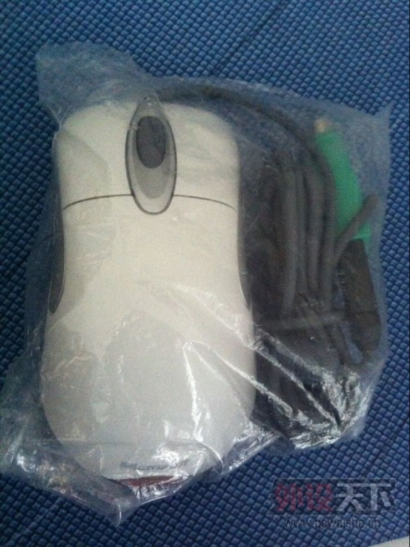 �����ա��ѳ���