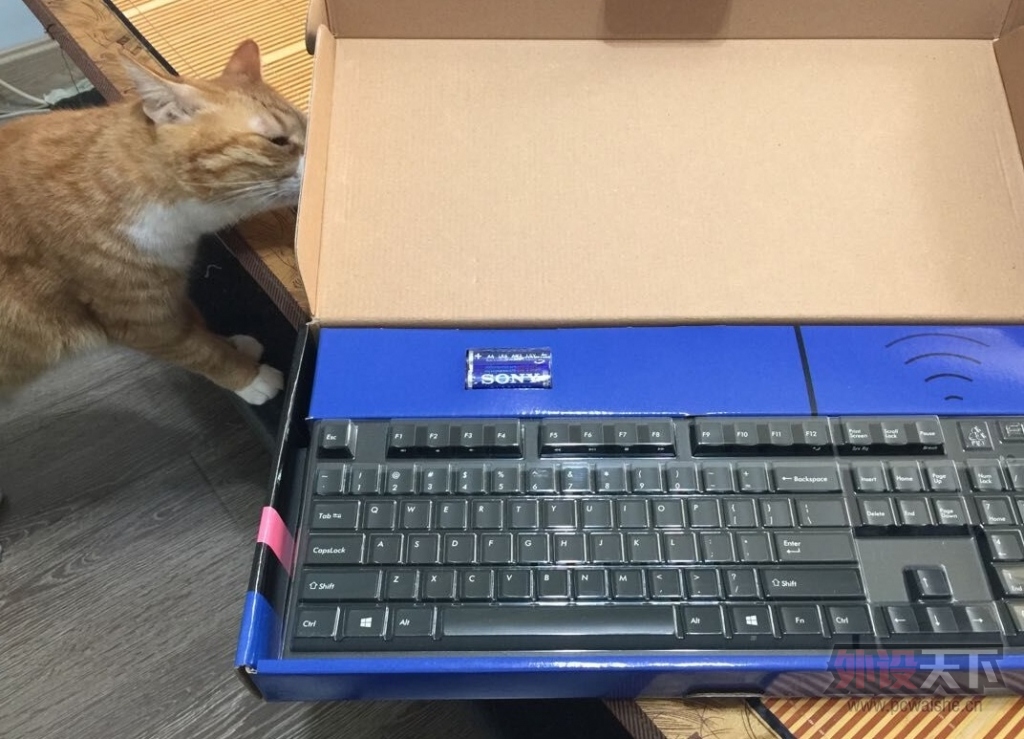������̳���ؼۣ��Ҿ��������F����