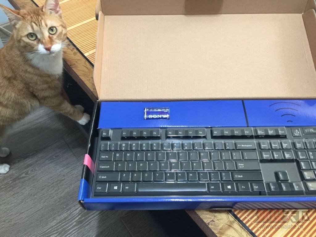 ������̳���ؼۣ��Ҿ��������F����