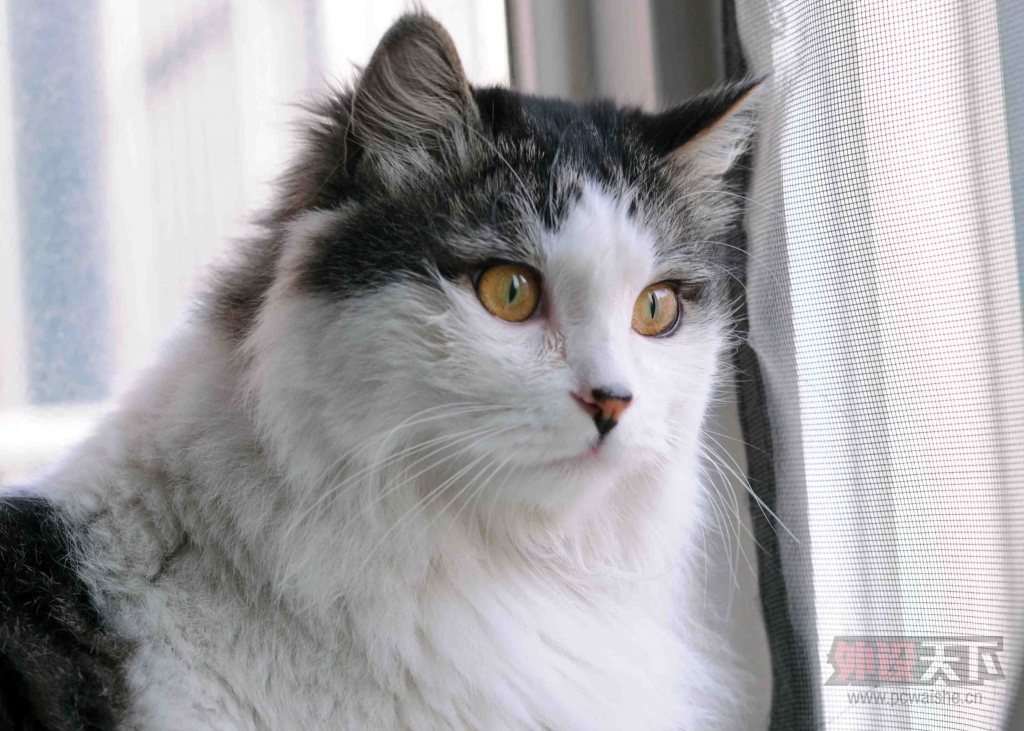 ��˿��Ǯ��NovaTouch���䡢����ñ��ͼ����