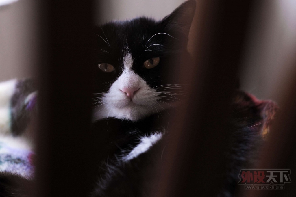 ��˿��Ǯ��NovaTouch���䡢����ñ��ͼ����