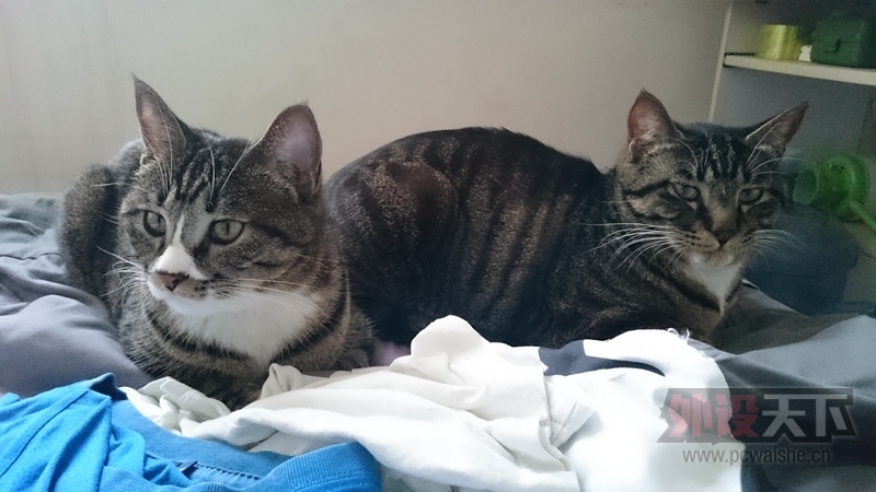 ���������޼�502 9���¡�����20138���¡���һЩ������ͼ���ʲô������һ����