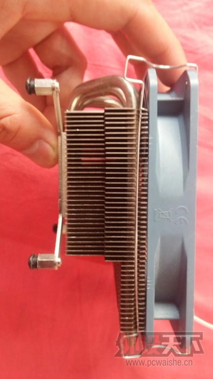 ����ɽ���������