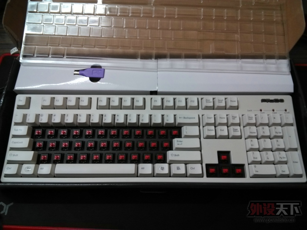 ��������Filcoʥ�ֶ���104�׿Ǻ���