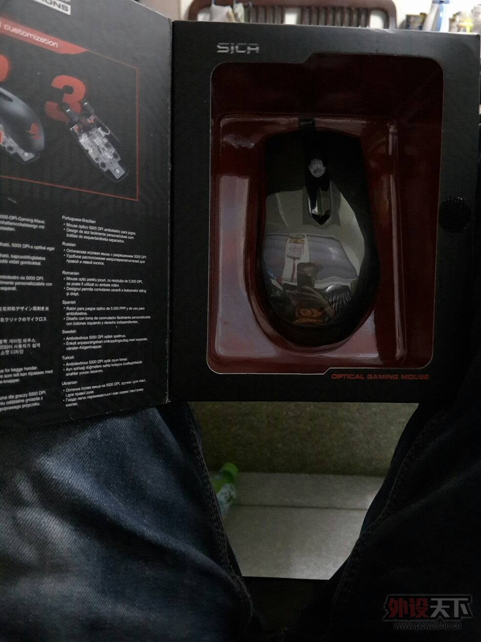 ���ѳ�����˶sica.