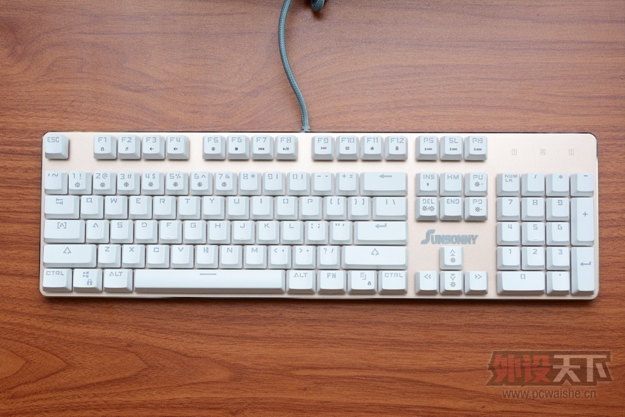 ���ա����ϳ��������Ĺ���RGB��ɭ����V628��������