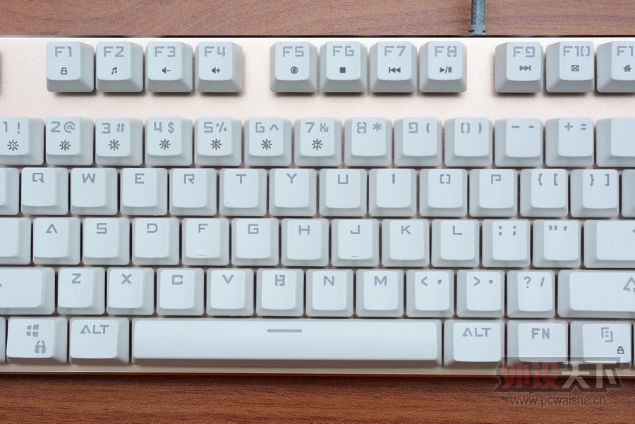 ���ա����ϳ��������Ĺ���RGB��ɭ����V628��������