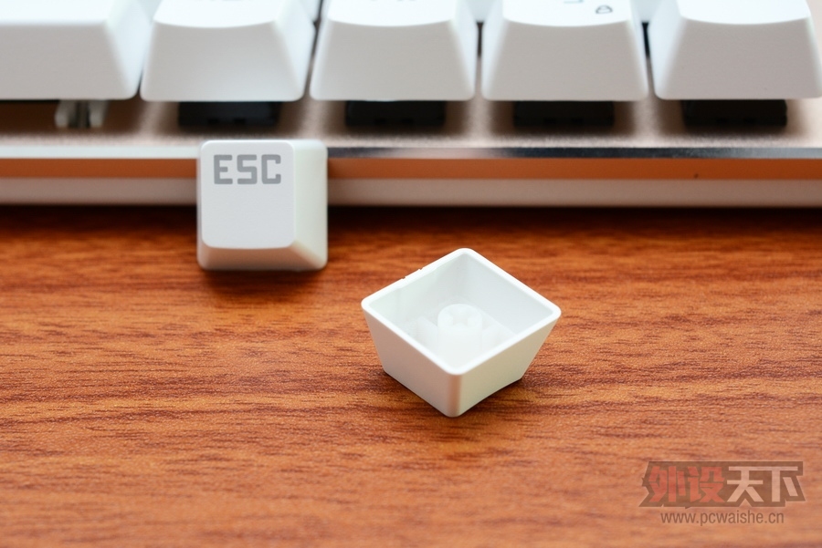 ���ա����ϳ��������Ĺ���RGB��ɭ����V628��������