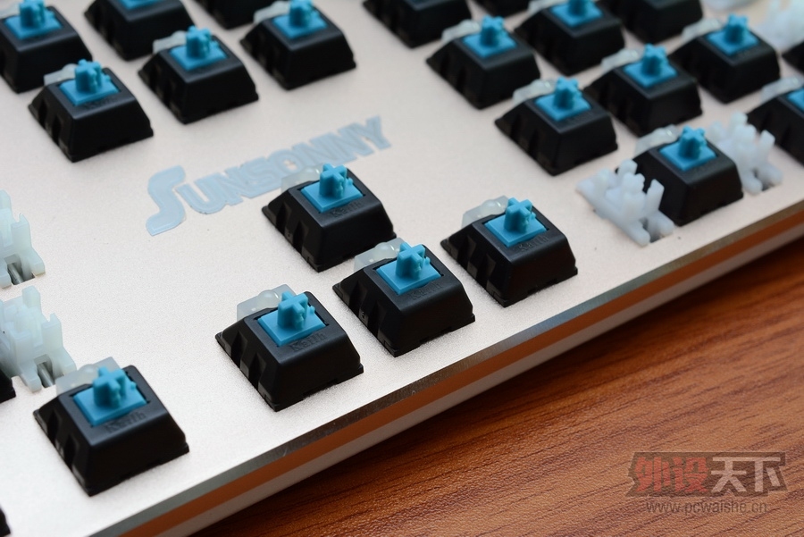 ���ա����ϳ��������Ĺ���RGB��ɭ����V628��������