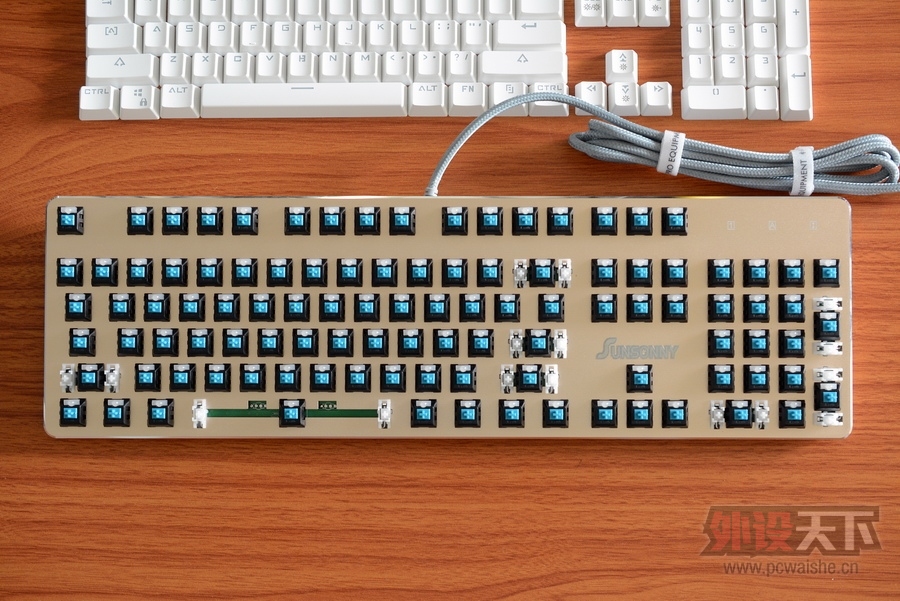 ���ա����ϳ��������Ĺ���RGB��ɭ����V628��������