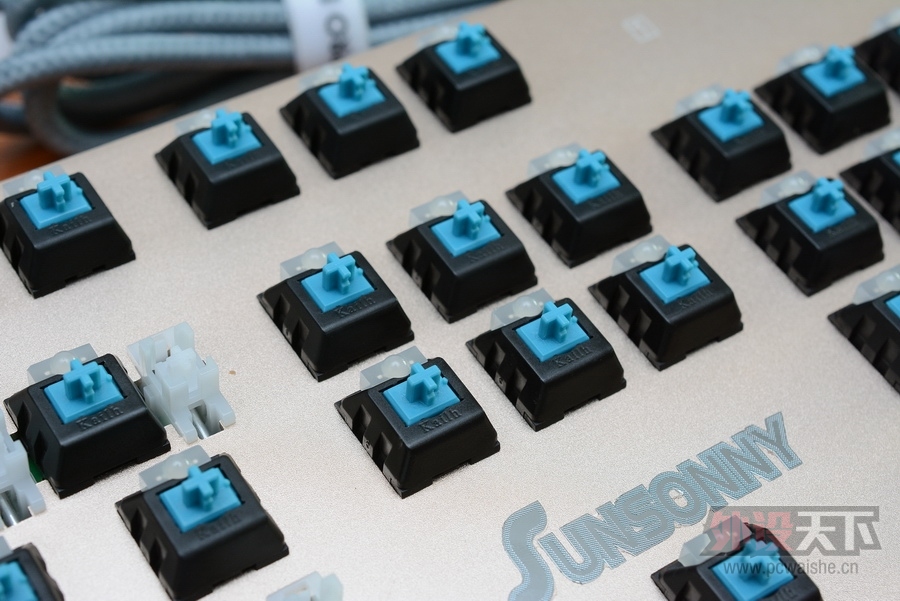 ���ա����ϳ��������Ĺ���RGB��ɭ����V628��������