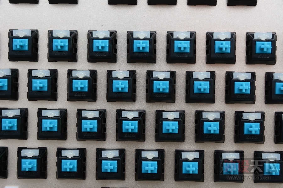 ���ա����ϳ��������Ĺ���RGB��ɭ����V628��������