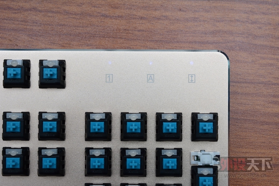 ���ա����ϳ��������Ĺ���RGB��ɭ����V628��������