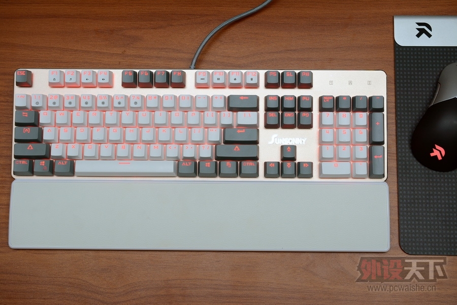���ա����ϳ��������Ĺ���RGB��ɭ����V628��������