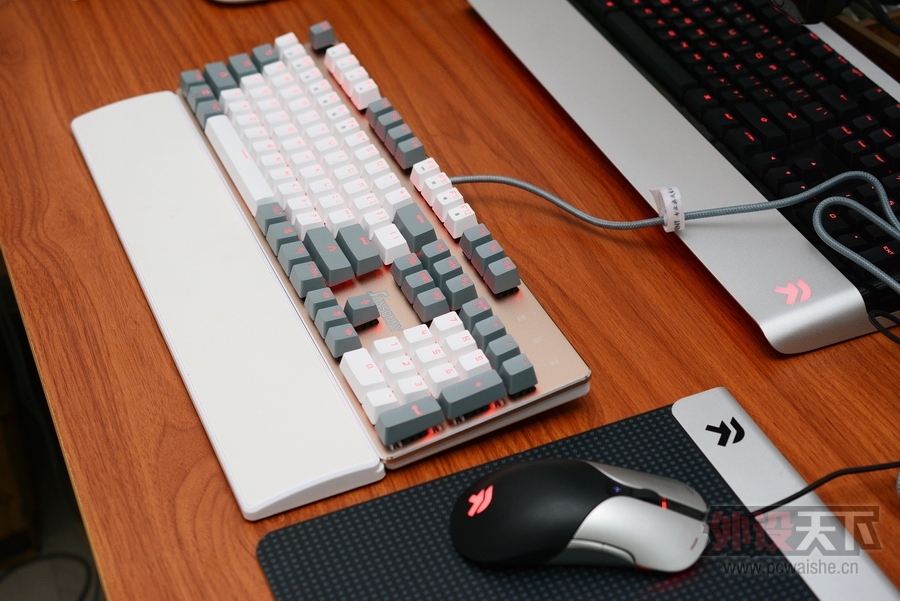 ���ա����ϳ��������Ĺ���RGB��ɭ����V628��������