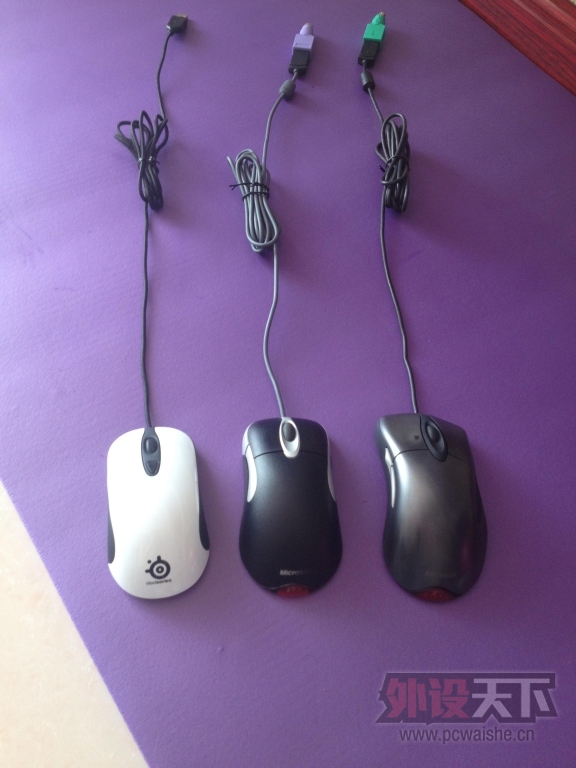 ��ɽ�������������Kinzu  IE  IO