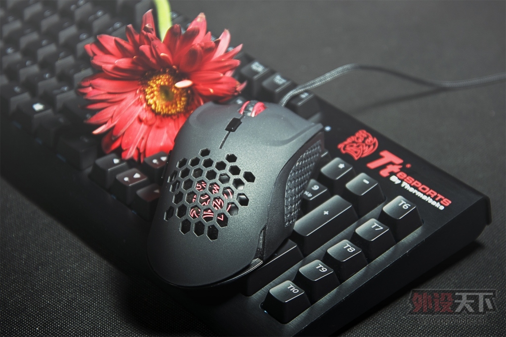 ˵ҵİлTT VENTUS Xҵľ