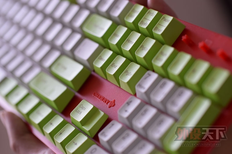 ��������Cherryӣ��ԭ��������������pbt��ñ�����꡿