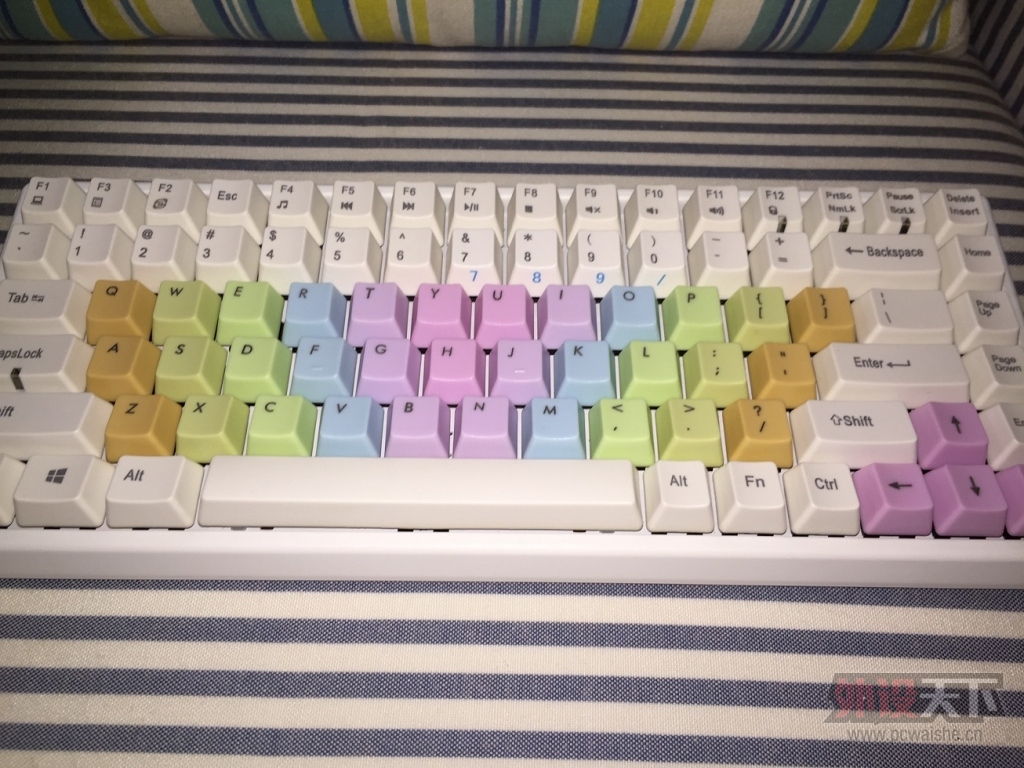 ���ɶ������Kinzu V2��ɫ ���ʽ���