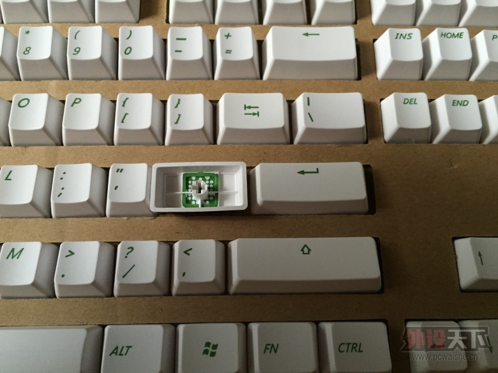 ���ɶ������Kinzu V2��ɫ ���ʽ���