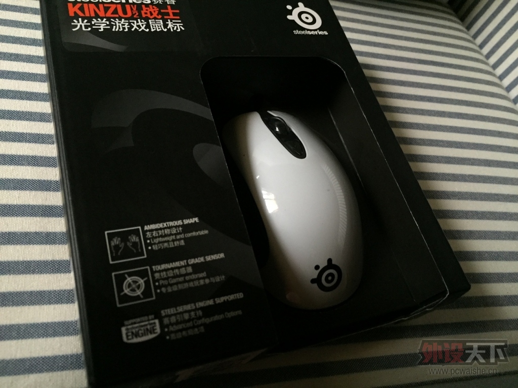 ���ɶ������Kinzu V2��ɫ ���ʽ���