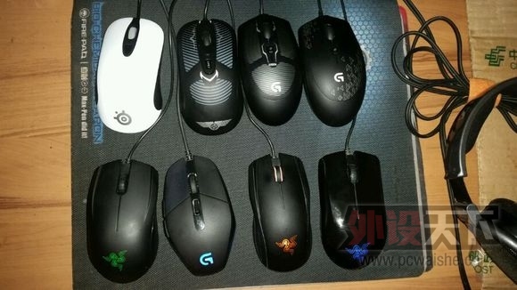 �¹�����ŵ˹������������