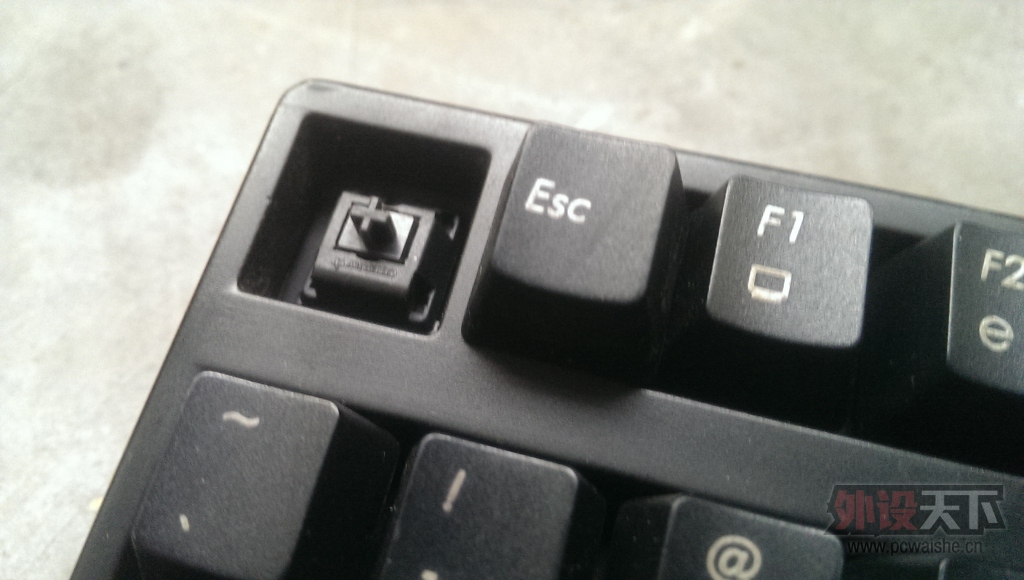 IMAG0437.jpg