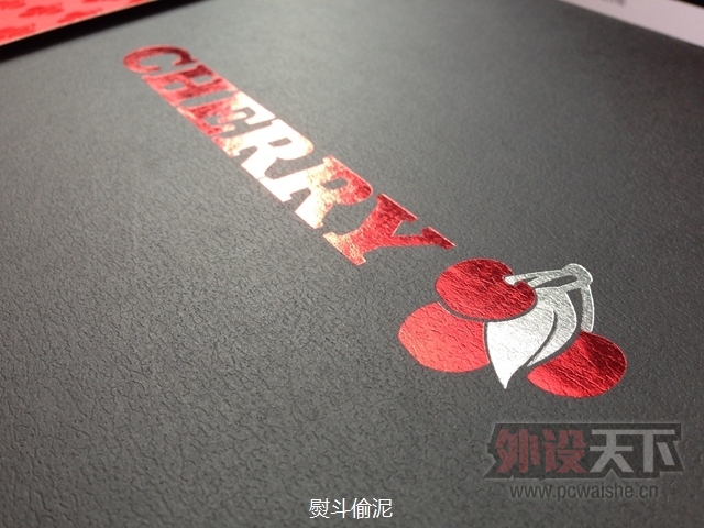 ����ɳ��cherry G80-3494 9.9�� ������