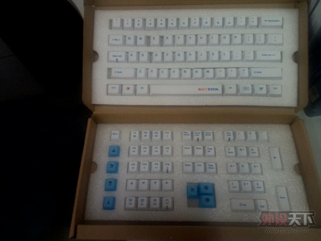 �����ݡ����� ������������PBT ��ñ