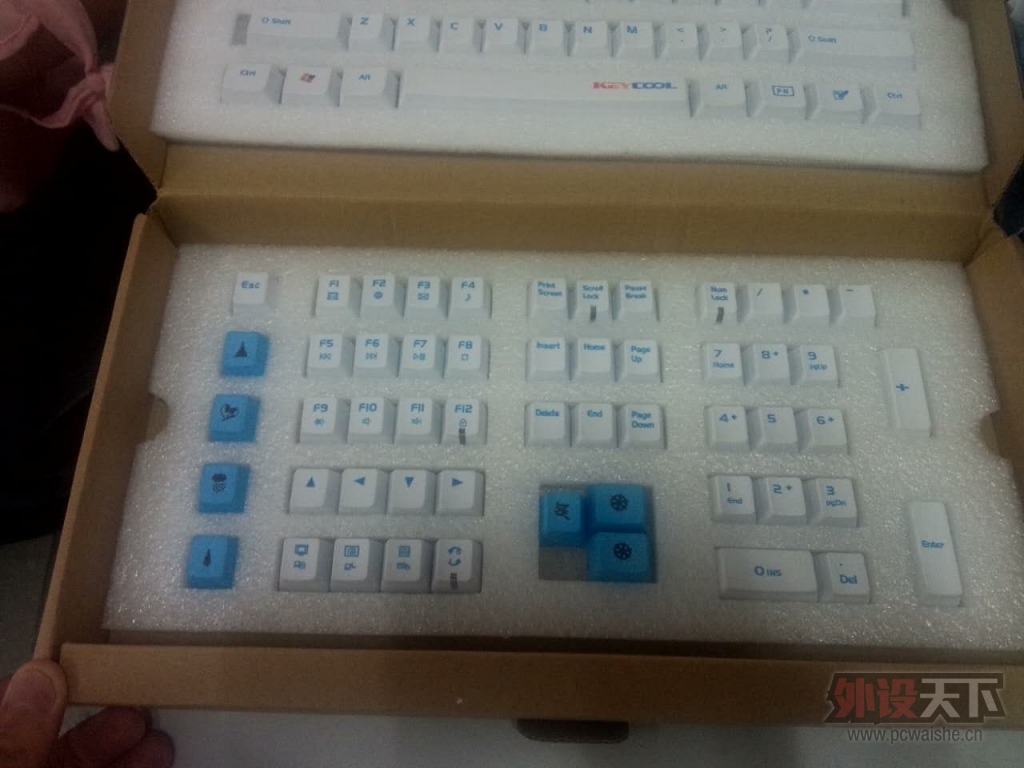 �����ݡ����� ������������PBT ��ñ