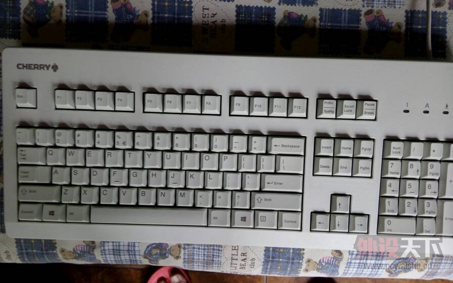 cherryducky
