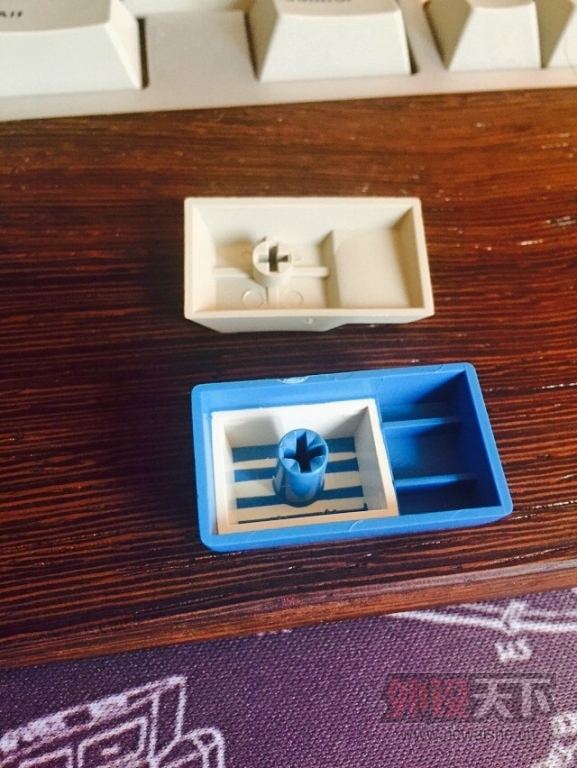 �����ݡ�DTSP Round 4 �����ñ ϡ�� �Ե�100