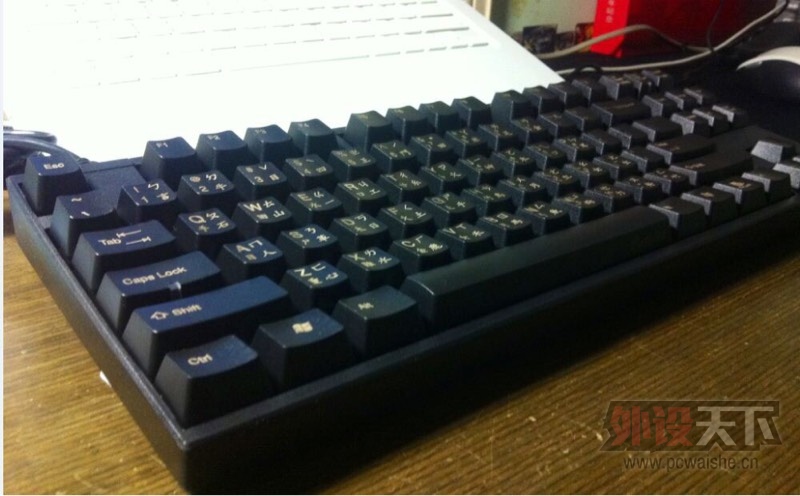 [����]���ɶ���DUCKY87��XM�����е���� 9���� ������