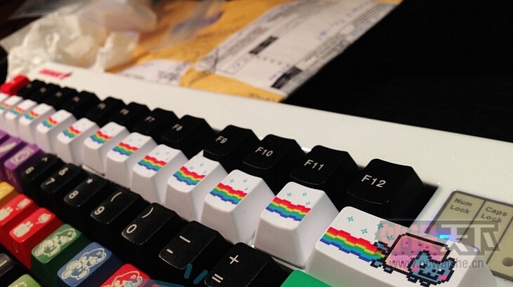 PL PBT