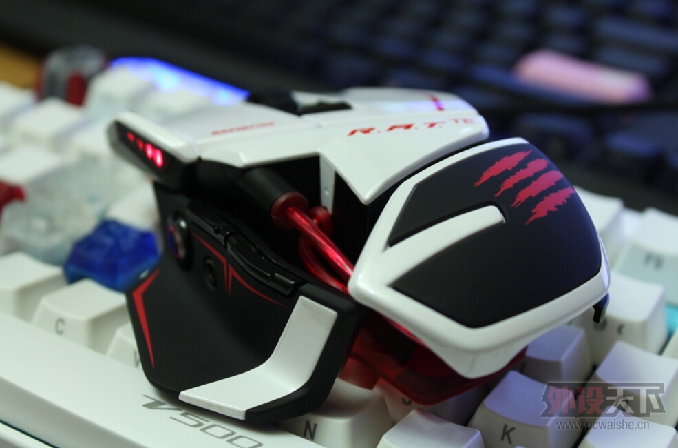 YN`6BSQNMX_QNW)HSVS_I8L.jpg
