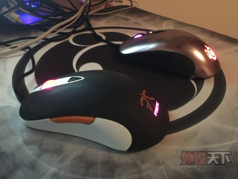 �����ݡ����� ���ʦfnatic ����������