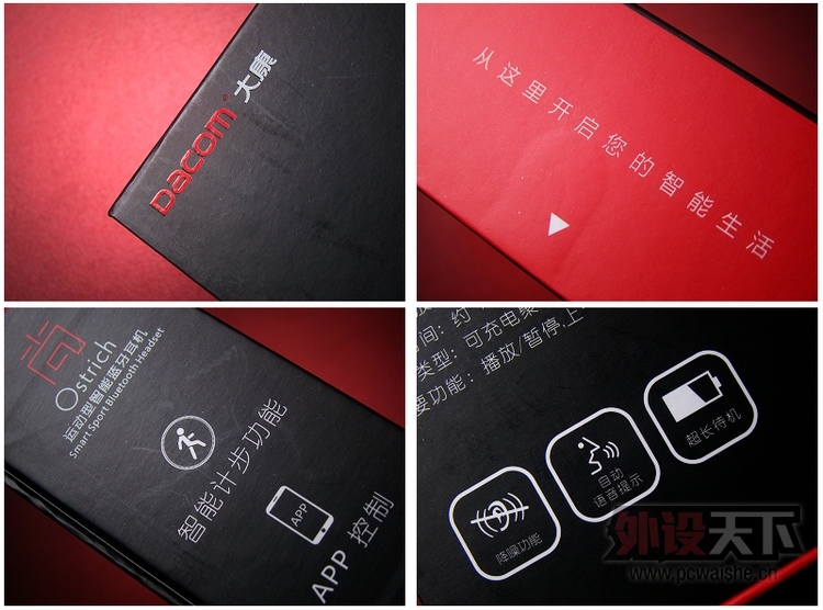 ��¼ÿһ���Ų� Dacom Ostrich �����˶���������