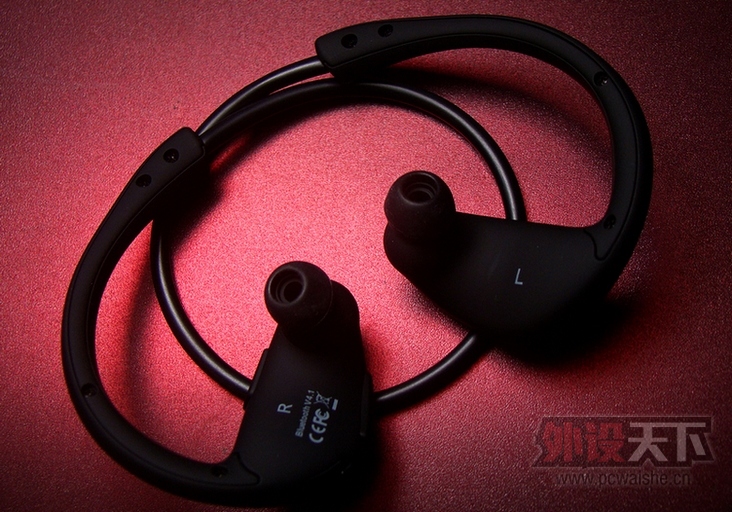 ��¼ÿһ���Ų� Dacom Ostrich �����˶���������