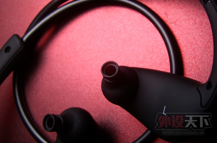 ��¼ÿһ���Ų� Dacom Ostrich �����˶���������