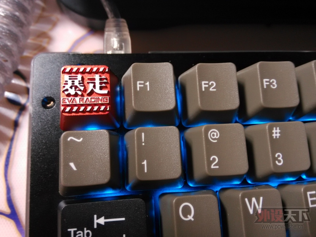 �����õ������β��