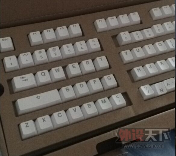 ���Ϻ������7G PBT��ɫ��͸