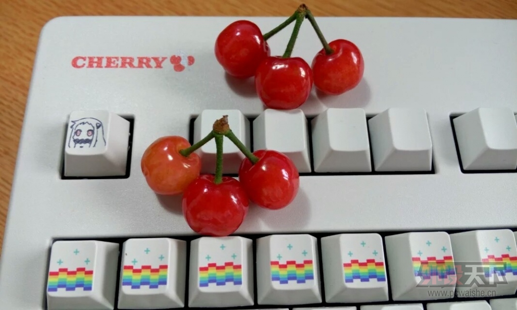 ���󹺡���������CHERRY-3000��ɫ����