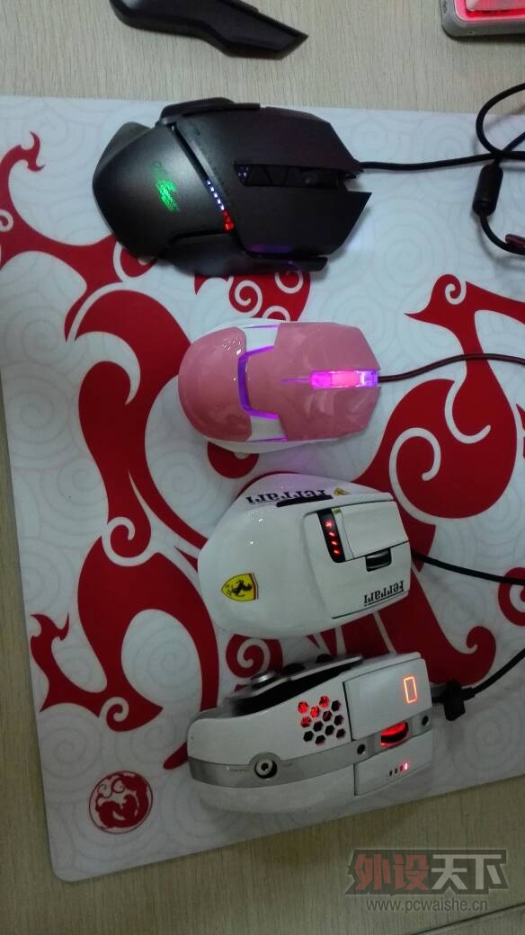����С��ϲ��007�ڳﵽ�ֿ�������