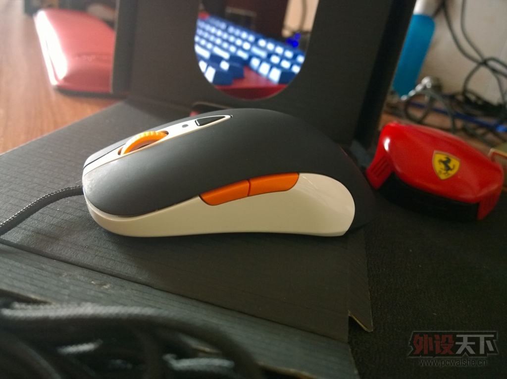 ���㶫���������SENSEI FNATIC��һ�����ѳ���