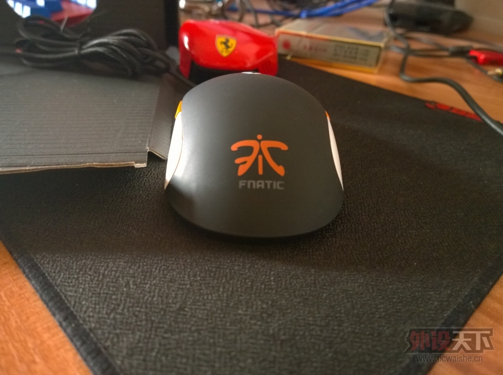 ���㶫���������SENSEI FNATIC��һ�����ѳ���